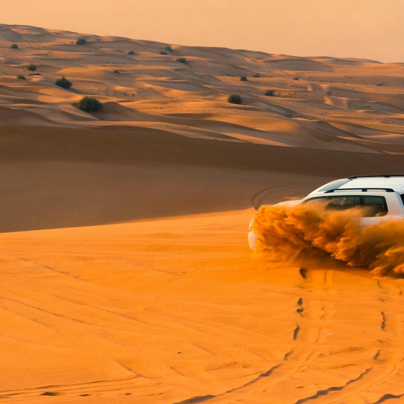 desert safari dubai